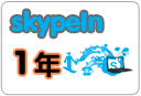  skypein号码十二个月